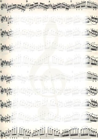 Dyplom Nuty A4 170g Galeria Papieru (213317)