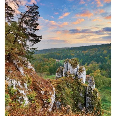 Kalendarz ścienny MAGICZNA POLSKA 13-planszowe 2024 320mm x 470mm Lucrum (RW02)