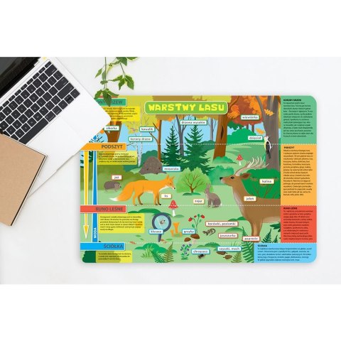 Podkład na biurko WARSTWY LASU I ŁĄKA mix PVC PCW Henry (5905701481262)
