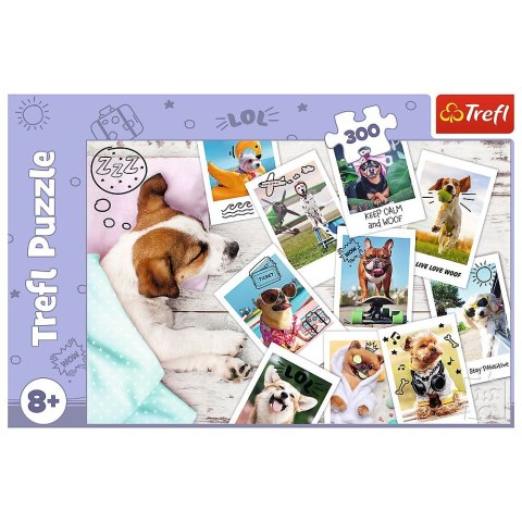 Puzzle Star Wars 300 el. Trefl (23003)