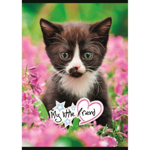 Zeszyt My Little Friend A5 32k. 70g krata Unipap