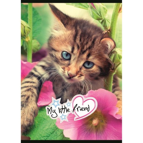 Zeszyt My Little Friend A5 32k. 70g krata Unipap