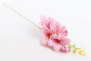 Gałązka Frezja pojedyncza Arpex (VC3230)