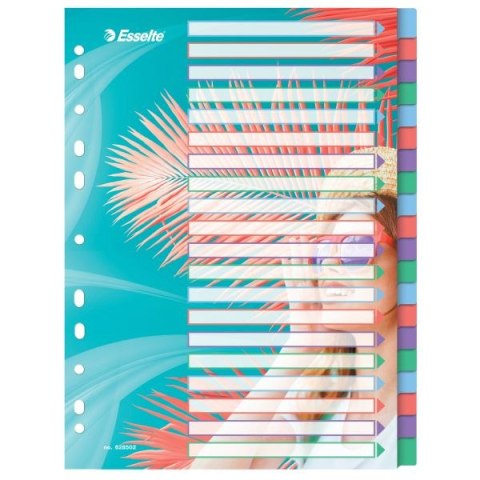 Przekładka czysta Colour Breeze A4 mix 20k Esselte (628502)
