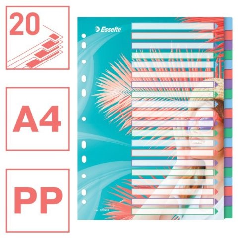 Przekładka czysta Colour Breeze A4 mix 20k Esselte (628502)