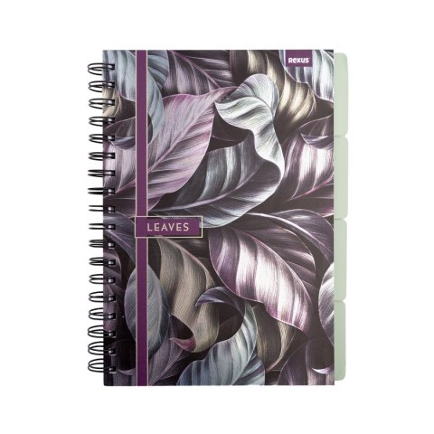 Notes (notatnik) metaliza B5 96k. krata Beniamin