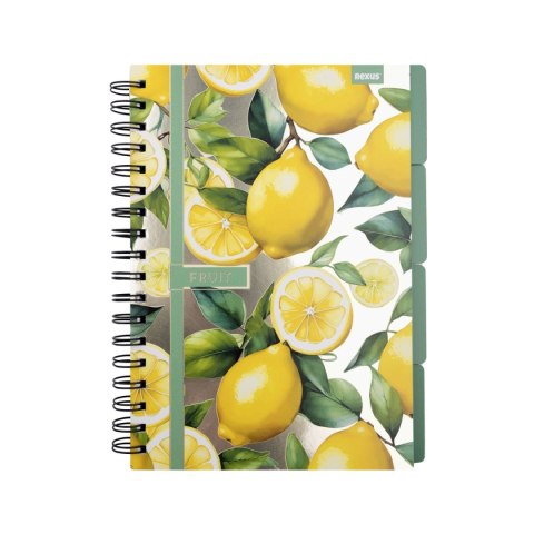 Notes (notatnik) metaliza B5 96k. krata Beniamin