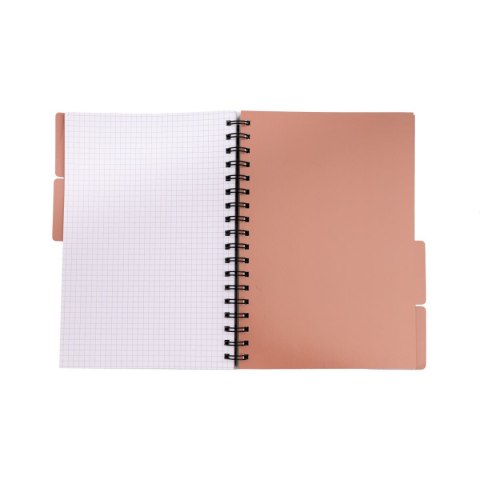 Notes (notatnik) metaliza B5 96k. krata Beniamin