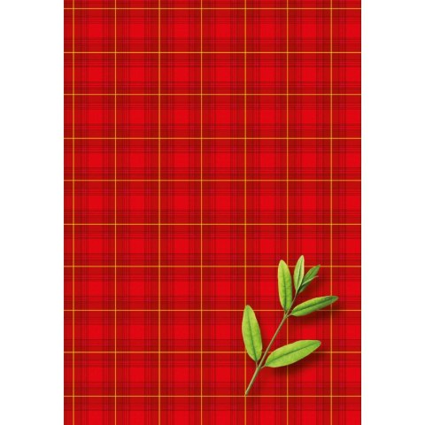 Brulion B6 200k. krata Kreska