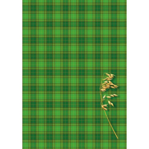 Brulion B6 200k. krata Kreska