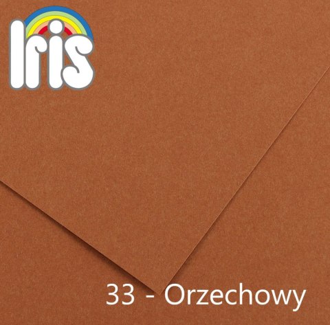 Brystol Iris 33 B1 orzechowy 240g 25k [mm:] 700x1000 Canson (200040472)