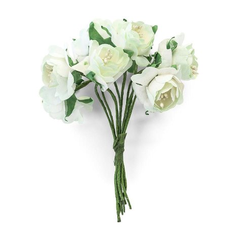 Kwiaty bukiecik Dalie jasny fiolet, 8 szt. Argo (252043)