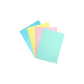 Ofertówka A4 kolor: mix typu L Biurfol (OFP-A4)
