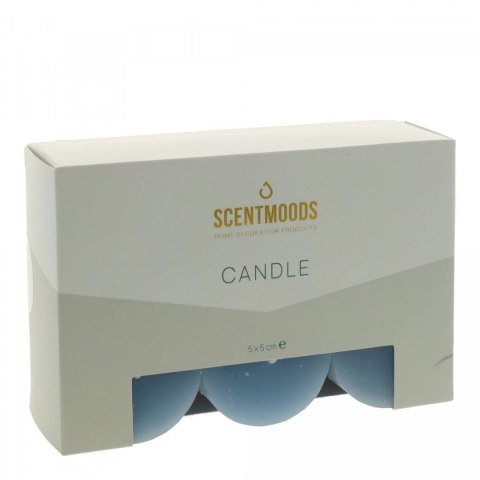 Świeca pieńkowa 5x5cm 6szt., w kolorze Taupe Pavoncella (8720935400875)