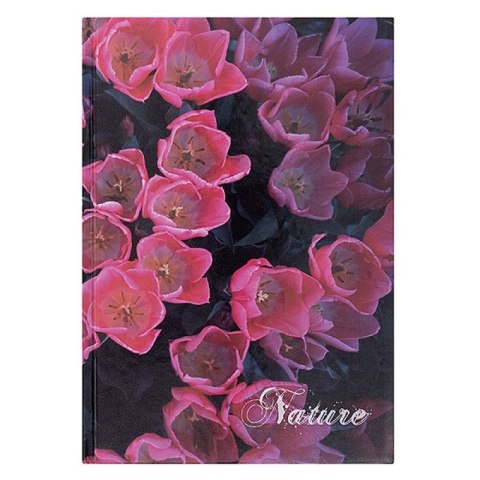 Brulion Nature A5 96k. 55g linia Office Products (16034211-99)