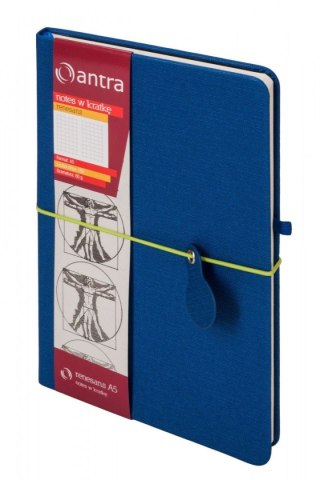 Notes (notatnik) RENESANS NIEBIESKI A5 96k. krata Antra