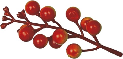 Ozdoba na piku Craft-Fun Series gałązki winobluszczu Titanum (5903714533640)