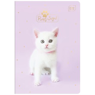 Zeszyt A5 32k. 70g krata [mm:] 148x210 Interdruk (ZE32KFK)