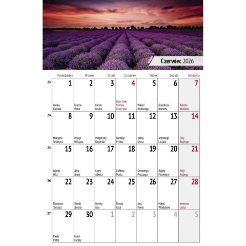 Kalendarz biurkowy miesięczny Pejzaże 240mm x 150mm Press (5904830713602)