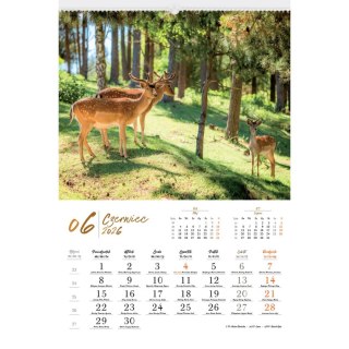 Kalendarz ścienny MALARSTWO IMPRESJONISTÓW 13-planszowe 2024 320mm x 470mm Lucrum (RW07)