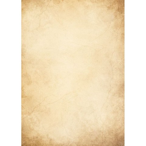 Papier ozdobny (wizytówkowy) florencja A4 Galeria Papieru (234010)