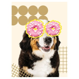 Zeszyt Funny Dog A5 60k. krata Unipap