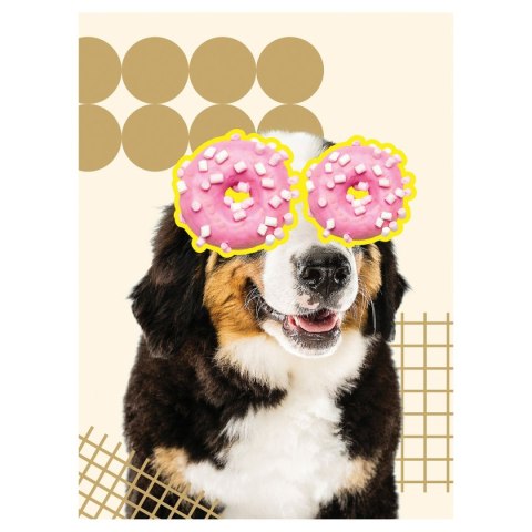 Zeszyt Funny Dog A5 60k. krata Unipap