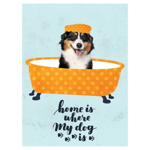 Zeszyt Funny Dog A5 60k. krata Unipap