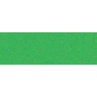 Brystol joy A3 zielony 170g Happy Color (HA 3517 3042-5)