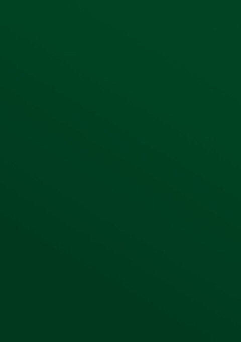 Karton do bindowania błyszczący - chromolux A4 zielony 250g Titanum