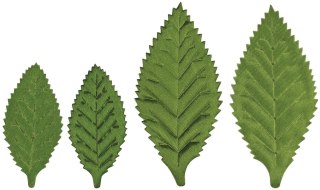 Ozdoba materiałowa Craft-Fun Series Liście 20 szt Titanum (DIY-CH-MA-033)