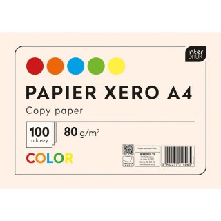 Papier kolorowy A4 mix 80g Interdruk (PAKSA4IN)
