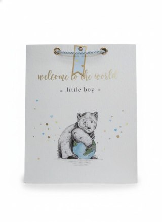 Torba prezentowa little boy, L, 5szt. [mm:] 320x260x 120 Argo (257044)