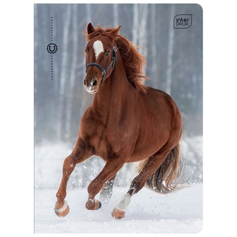 Zeszyt MIX A5 32k. 70g krata Interdruk (ZE32KF#)