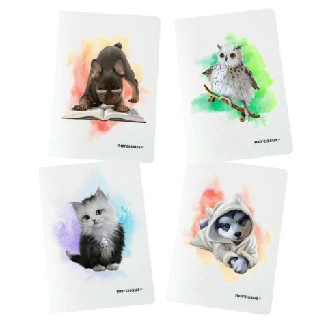 Zeszyt PP A4 32k. 80g linia Narcissus