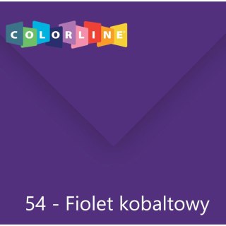 Brystol Colorline 54 fiolet 150g 25k [mm:] 500x650 Canson (400110144)