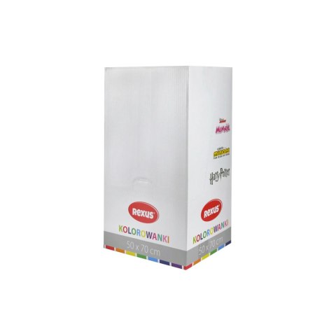 Kolorowanka podłogowa Beniamin (110628)