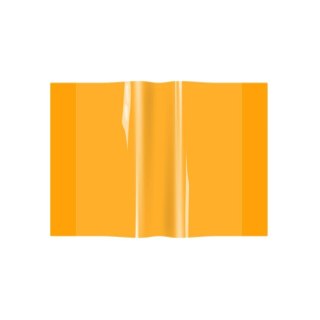 Okładka neon A4 Biurfol (OZN-A4-04)