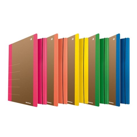 Teczka kartonowa na gumkę Life A4 zielony 500g [mm:] 250x350 Donau (2060001FSC-06)