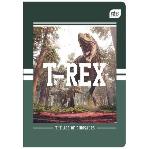 Zeszyt A5 32k. 70g podwójna linia kolor Interdruk (ZE32KFL)