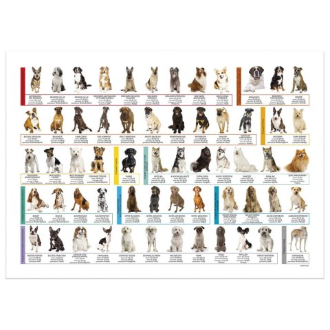 Podkład na biurko psy różnokolorowy karton pokryty folią [mm:] 345x500 Derform (POEPS)