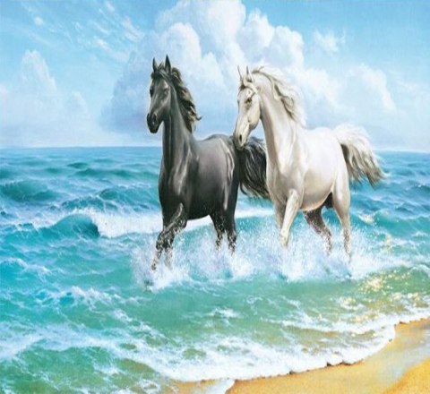 Zestaw kreatywny Diamentowa mozaika 30x40cm Konie 2 Flamingo Line (TMS29511)