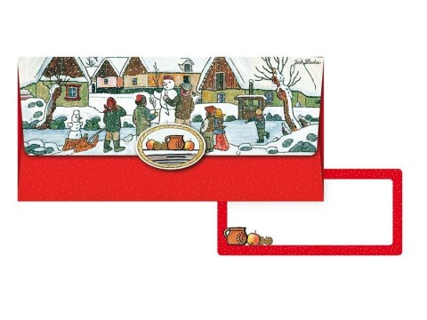 Koperta specjalnego przeznaczenia BN na pieniądze (5560069)