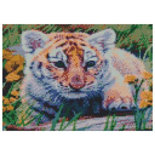 Zestaw kreatywny Diamentowa mozaika 30x40cm Tygrys Flamingo Line (TMF24324)