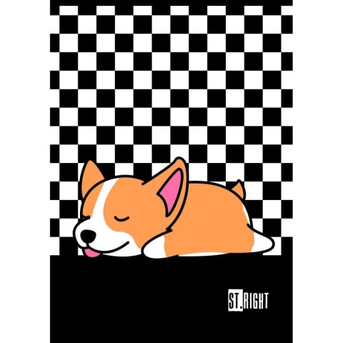 Zeszyt St.Right A4 32k. krata Unipap