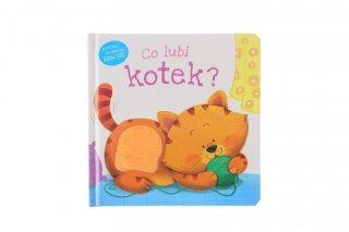 Książeczka edukacyjna Co lubi kotek? Zielona Sowa