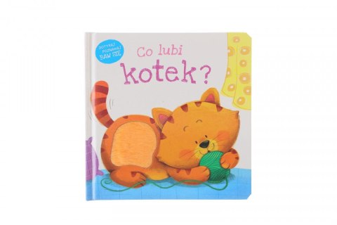 Książeczka edukacyjna Co lubi kotek? Zielona Sowa
