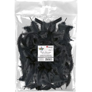 Piórka Craft-Fun Series czarne Titanum