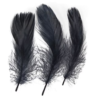 Piórka Craft-Fun Series czarne Titanum