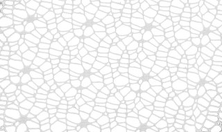 Ozdoba materiałowa Craft-Fun Series siatka koronkowa biała Titanum (25CR0331-14)